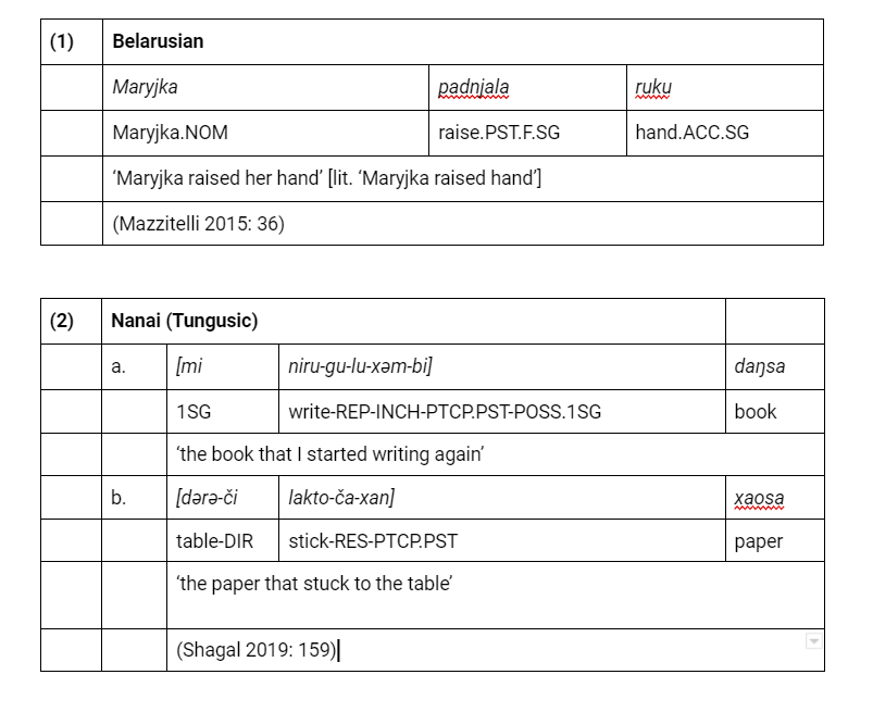 Example Linguistics